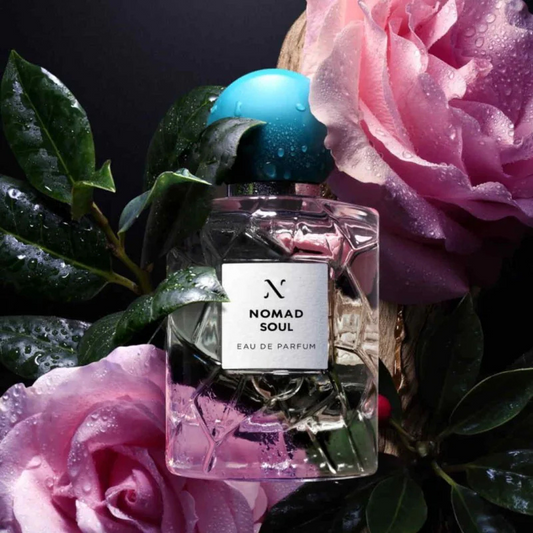 Nomad Soul
