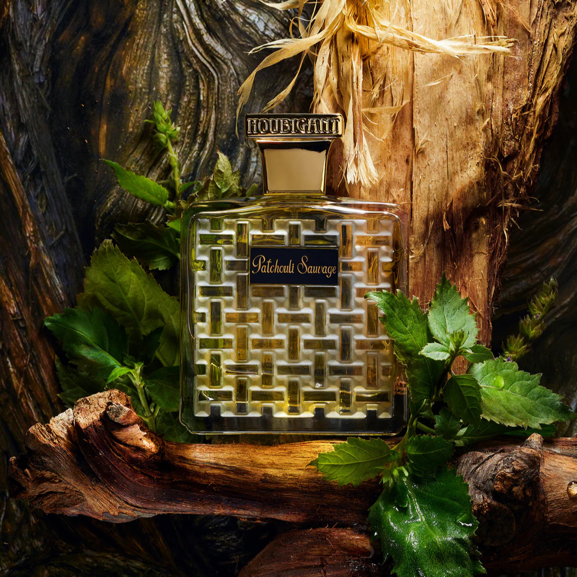 Patchouli Sauvage